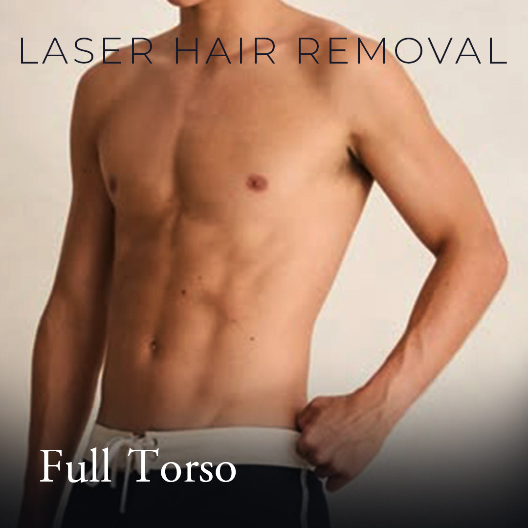 Full Torso (Chest, Back & Abdomen)